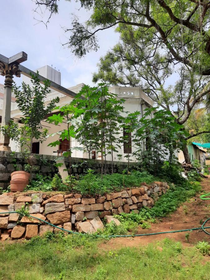 Heritage Home, Hampe's *